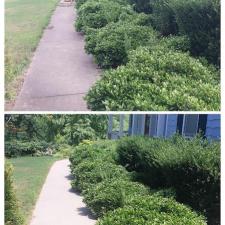 DIRTY-DAWSONVILLE-DRIVEWAY-AND-SIDEWALK-LIKE-NEW-AGAIN 0